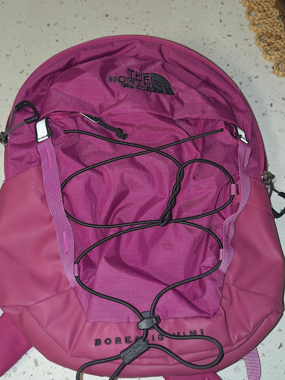The North Face Cyber Berry sumac Borealis Mini Backpack - Picture 1 of 6